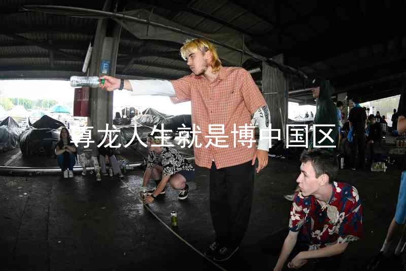 尊龙人生就是博中国区