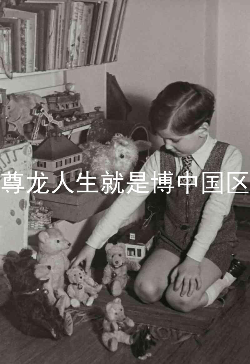 尊龙人生就是博中国区