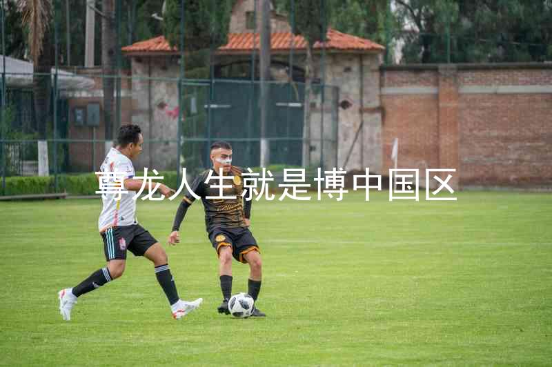 尊龙人生就是博中国区