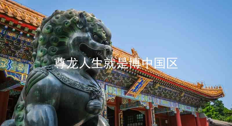 尊龙人生就是博中国区