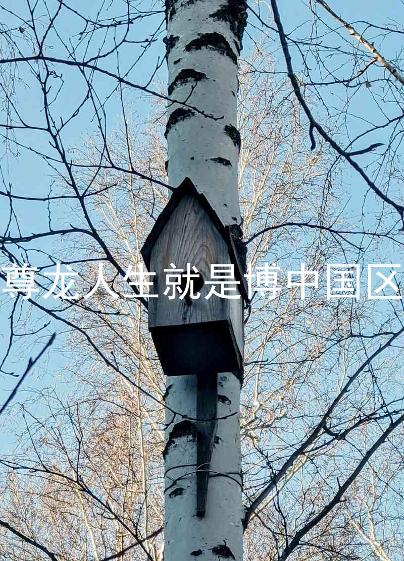 尊龙人生就是博中国区